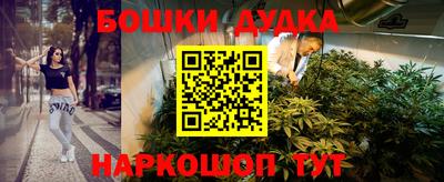 шишки Заводоуковск