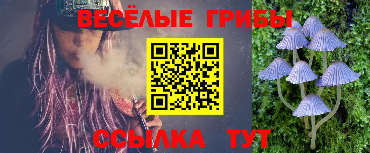 Псилоцибиновые грибы Magic Shrooms  Вход с VPN  Ленинск-Кузнецкий 