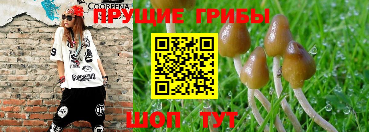 Псилоцибиновые грибы Magic Shrooms Ленинск-Кузнецкий